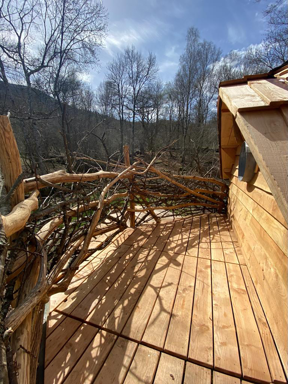 Terrasse panoramique forêt