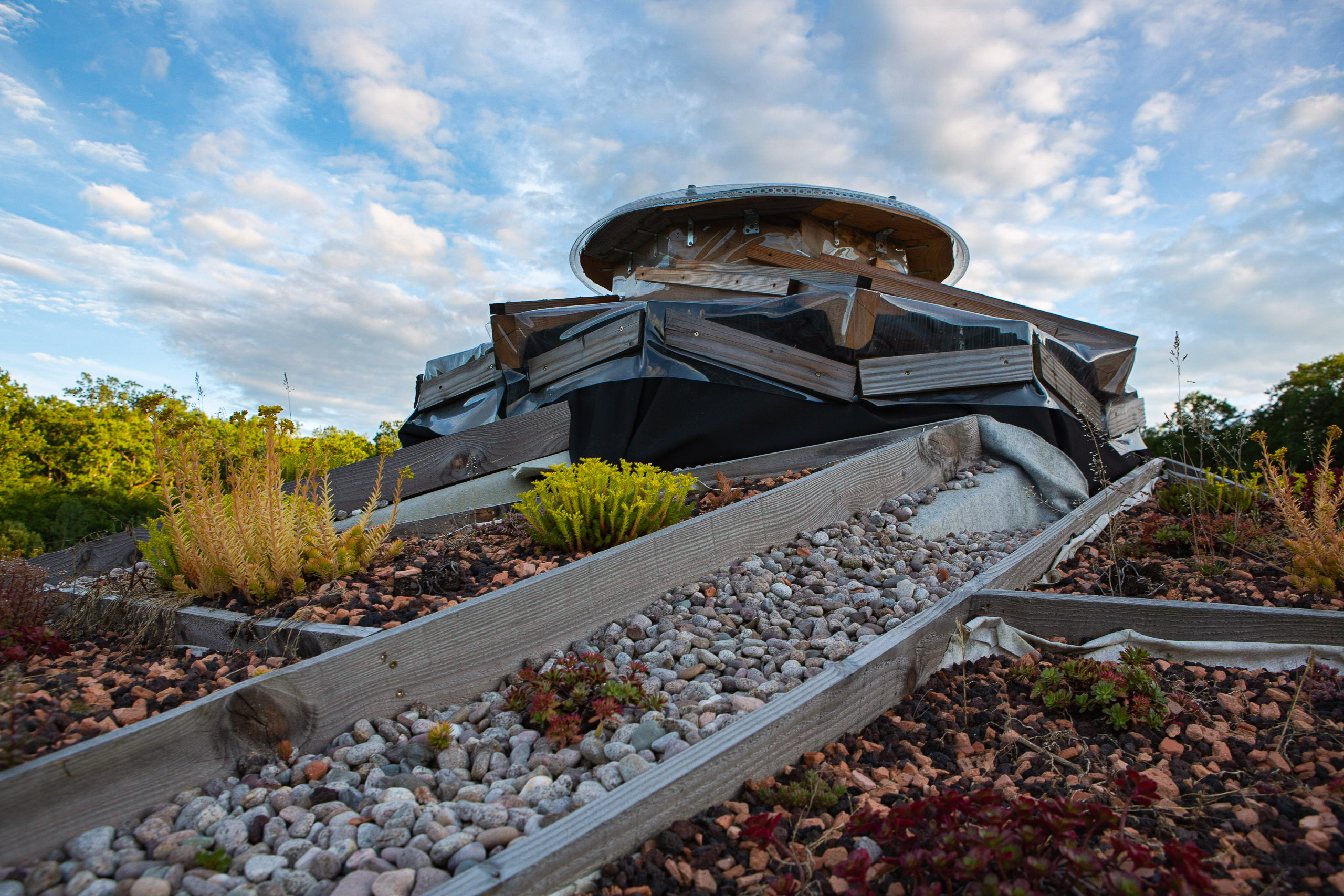 toiture végétalisé