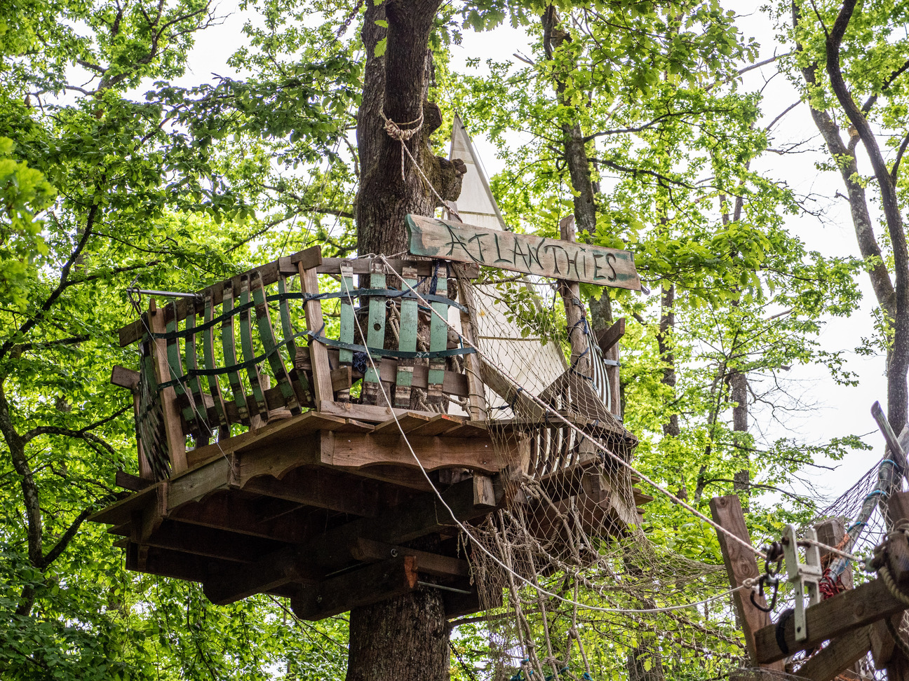 Vigie dans les arbres