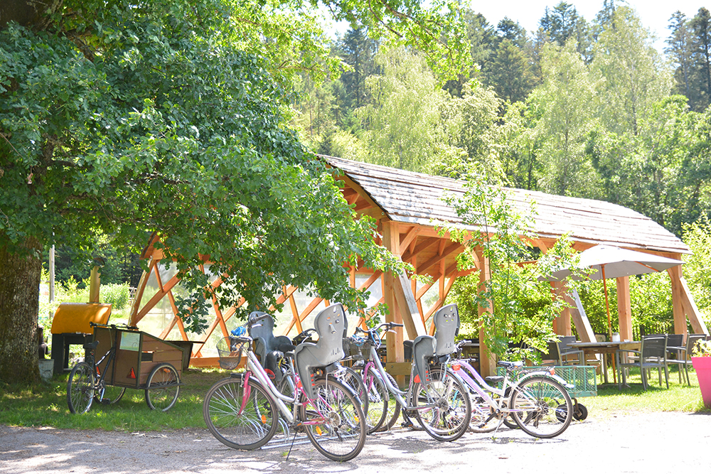 Voûte nid d'abeille