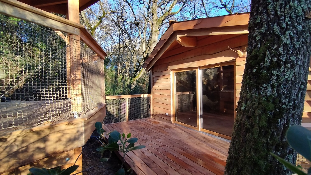 Terrasse cabane sur pilotis/ cabane dans les arbres/ insolite