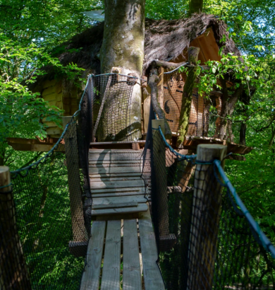 Cabane-dans-les-arbres-bulle5
